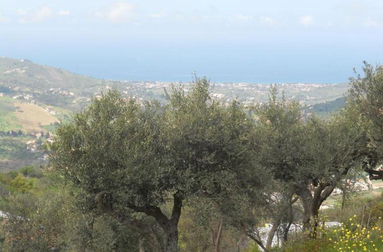 Casale Il Gheppio Guest House Laureana Cilento Exterior photo