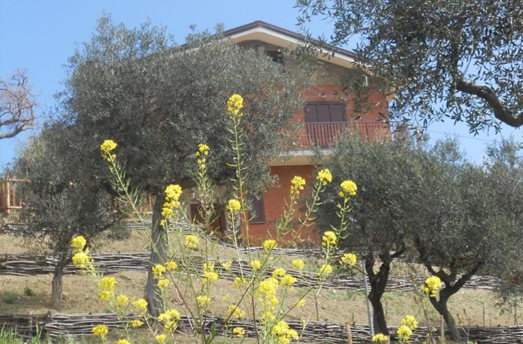 Casale Il Gheppio Guest House Laureana Cilento Exterior photo